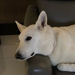 Meet your Posher, Donna